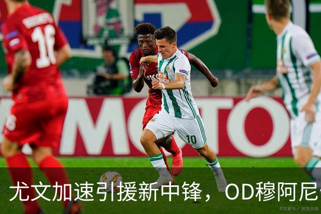 尤文加速引援新中锋，OD穆阿尼仍是首选，齐尔克泽成头号B计划