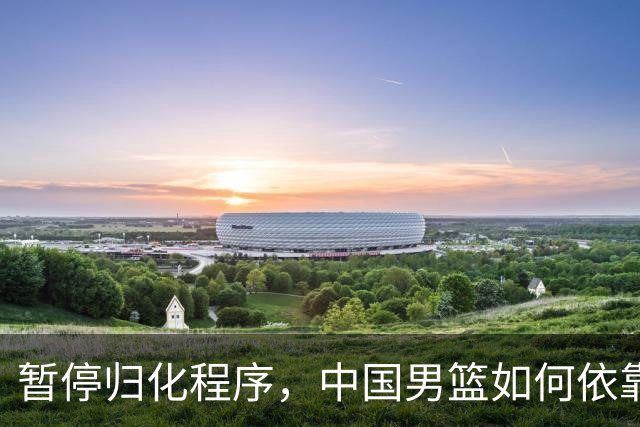 暂停归化程序，中国男篮如何依靠本土阵容争取奥运资格？