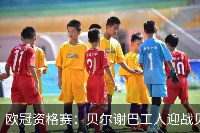 欧冠资格赛：贝尔谢巴工人迎战贝尔格莱德红星