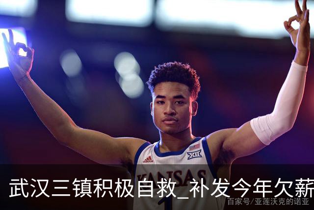 武汉三镇积极自救 补发今年欠薪 准入大概率会解决
